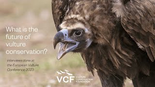 What is the future of vulture conservation? Insights from the European Vulture Conference