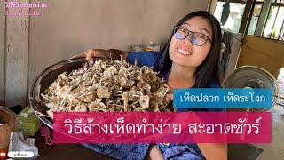 #ขั้นตอนการล้างเห็ด #เห็ดปลวก #เห็ดระโงก #เห็ดโคน #งิธีล้างเห็ดง่าย #อาหารอีสาน  #ของป่า #ของหายาก