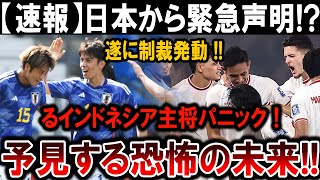 【サッカー日本代表】日本の制裁が炸裂！インドネシア主将が恐れる未来、その裏に何が？