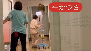 【柴犬飼い主54歳】おじさんガチ怒られる！