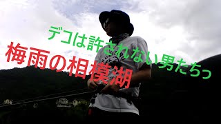 【相模湖】梅雨の合間釣行！何尾釣れた！？