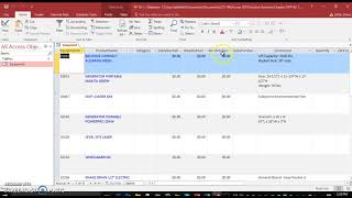 Input Mask & Default Value Property