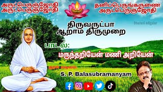 |Marundhariyen Maniyariyen||மருந்தறியேன் மணி அறியேன்|🪷Thiruvarutpa🪷 #வள்ளலார் @dharaniadigalar00