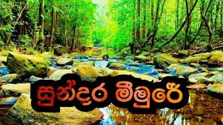 සුන්දර මීමුරේ ලස්සන පොටෝ එකතුවක් / A beautiful photo collection of Sundara Meemure /sri lanka 🇱🇰 ❤️🤘