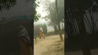 শীতের সকালে গ্রামীন পরিবেশ#vairalvideo #villagelife #vlog #viralshort #foryo