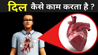 जानिए दिल कैसे काम करता हैं ? | Human Heart Working In Hindi