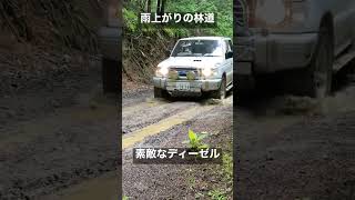 雨降りの林道♯三菱パジェロ♯ディーゼル♯ジオランダー♯short