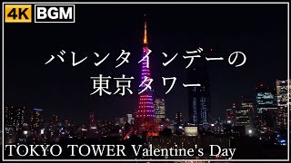 バレンタインデーの東京タワーの夜景 14-FEB-2022 TOKYO TOWER 4K ライトアップ