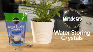 How to Protect Container Plants from Heat and Drought Using Miracle-Gro® Water Storing Crystals