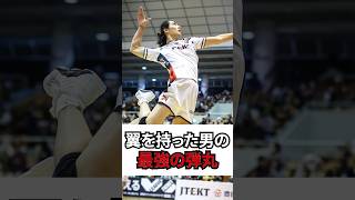 翼を持った男の最強の弾丸 #stings #vリーグ #volleyball