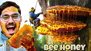 Dangerous Bee Hive Exploration Adventure🥵  मधुमक्खियों ने किया खतरनाक हमला   Do Not Try