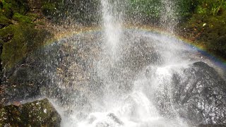 棚下不動滝🌈   水の質も高く滝行するには素晴らしい場所🙏    20230811