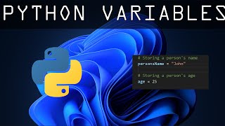 Python Essentials for Variables, Constants, and Magic Numbers