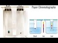 🧪Paper Chromatography - Chemistry Experiment with Mr Go Pro