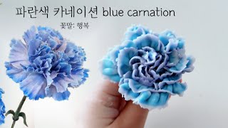 파란색 카네이션 앙금플라워 꽃파이핑 blue carnation flower piping techniques