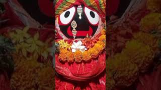 jay jagannath || ଜୟ ଜଗନ୍ନାଥ 🙏