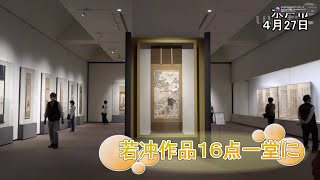 若冲作品16点一堂に【いばキラニュース】R4.4.28