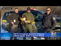 state troopers rescue injured bald eagle in central new york