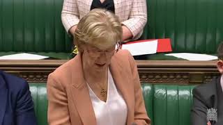 152 Andrea Leadsom MP - 28 March 2019 - UK Parliament times