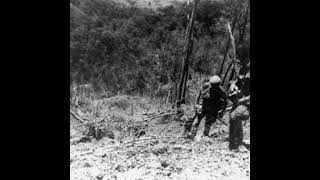 Episode 344 - The Battle of Hamburger Hill