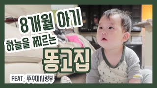 [미국일상] 8개월 아기| 미국 온라인 수업 |알디 |ALDI | 미국육아 |일상 브이로그 | 가족채널| 엄마의 일상 |김치찌게 계란말이| 쭈구미사령부 |육아 일상|내슈빌 테네시|