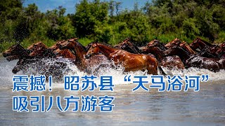 新疆：“天马浴河”“千里牧道”引八方游客 | 纪录新疆