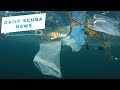 Daily Scuba News - Single use plastics ban at the Red Sea