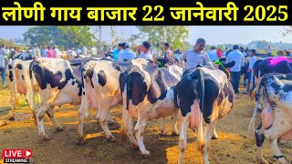 लोणी गाय बाजार live 🔴 22 जानेवारी 2025 || Loni Gaay Market #लोणी #बाजार