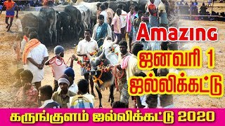 Karungulam Jallikattu 2020 January First Trailer | Manapparai | Trichy | Tamilnadu