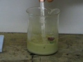 a lithium cell is attacked by nitric sulfuric and hydrochloric acids