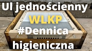 #122 Ul jednościenny wielkopolski - DENNICA HIGIECZICZNA Z POŁAWIACZEM PYŁKU.