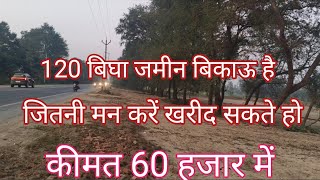 60.हजार रुपया प्रति बीघा बिकाऊ है टोटल जमीन 120 बीघा है दो बोरिंग फ्री agriculture land for sale