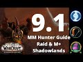 UPDATED 9.1+ MM Hunter Shadowlands Guide | Stat Priority/Shards/Talents/Rotation| World of Warcraft