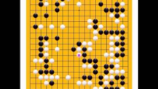 囲碁棋譜再現583局目　●洪ソッ義　○井山裕太　第8回プロ・アマ囲碁名人戦　Go Game