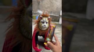 હાર્દિક જો કયો જો ઓ આહુ આવું 🦁👊🍫 #hardik #funny #shortvideos #comedy