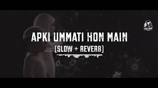 Ummati Hon Main || Slowed + Reverb || Raweeha Fatima || Naat || Naat Lovers