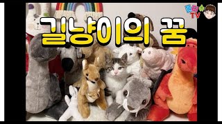 😺 길냥이의 꿈 🐈 (문어의 꿈) -  안예은 AHN YEEUN, 작사 물티슈