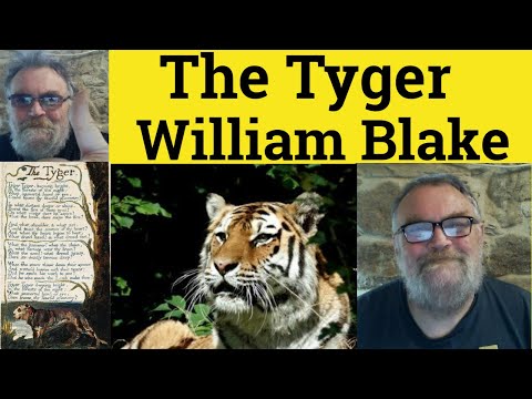 What does the Tyger symbolize?