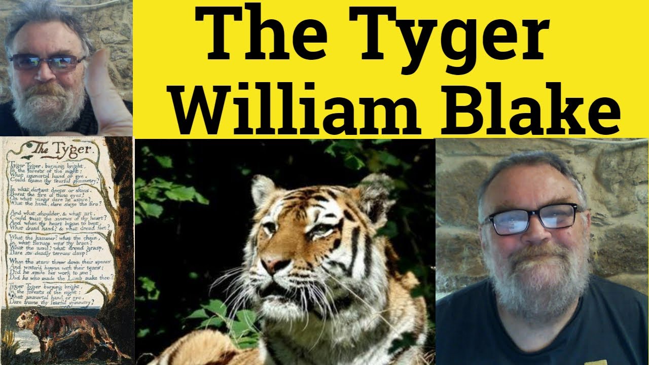 🔵The Tyger By William Blake Analysis - The Tyger William Blake ...