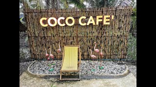 coco cafe' 🌴🌴 คาเฟ่ในสวนมะพร้าว