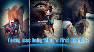 Today was baby Maui’s first day Ep 2