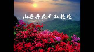 山丹丹花开红艳艳-陕北民歌-纯音乐-琵琶 Refreshing music-Chinese musical instrument pipa