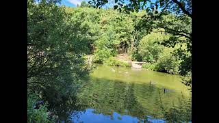 Walks At Vicar water Country Park