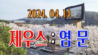 청도소싸움 2024.04.14  제8경기 병종 제우스 / 염문