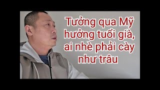 Con cái bất mãn khi bảo lãnh sang Mỹ | hở cái là Việt Nam