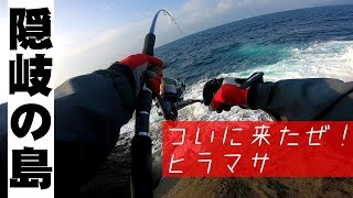 隠岐の島ショアジギング！ヒラマサ(青物)のポイント実釣解説！