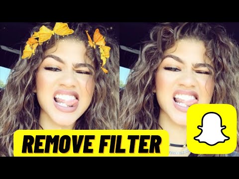 How to Remove Filter from Snapchat Picture/Photo Easy Guide