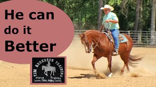 Advanced Horse Training Techniques: Mastering Smooth Transitions