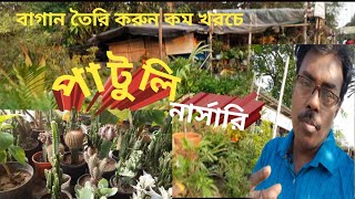 Patuli Nursery /পাটুলি নার্সারি / খুব কম খরচে বাড়িতে বাগান তৈরি করুন । Patuli plant nursery Kolkata