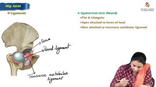 9. Hip joint : MBBS Lecture